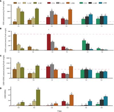 Ascorbate−glutathione cycle involving in response of Bangia fuscopurpurea (Bangiales, Rhodophyta) to hyposalinity